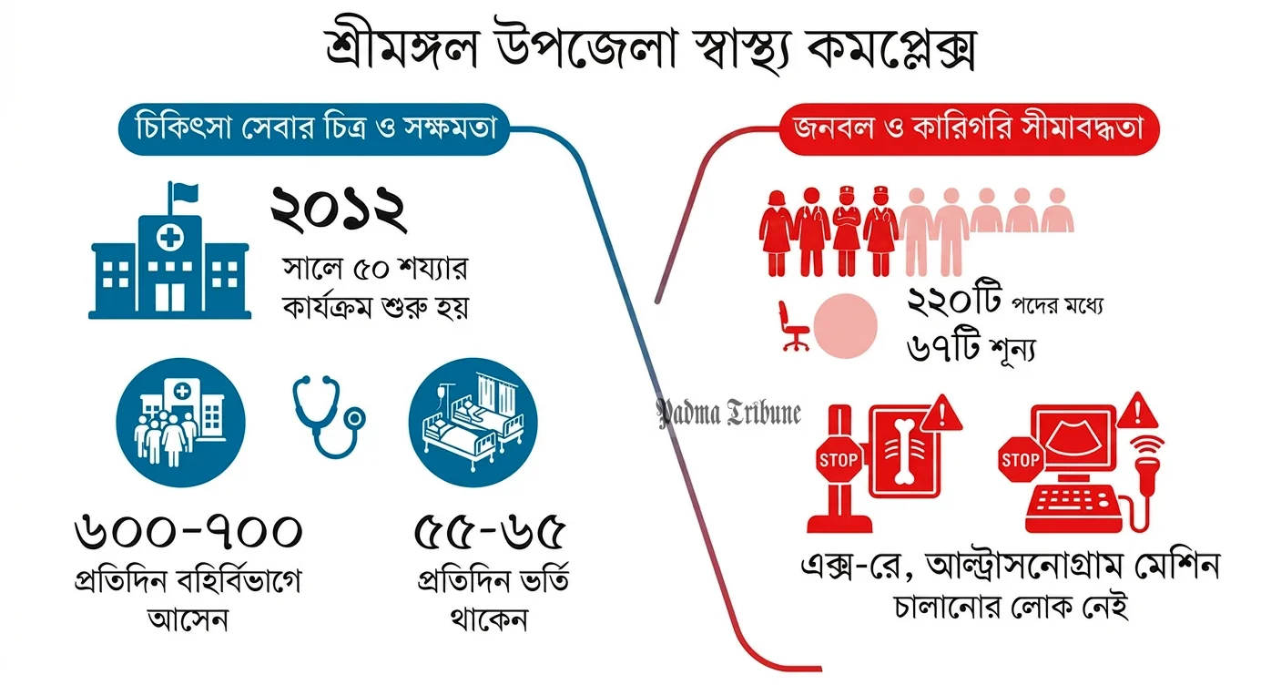 শ্রীমঙ্গল স্বাস্থ্য কমপ্লেক্সে চিকিৎসকের সংকট: ৪১টি পদের ২৫টিই শূন্য