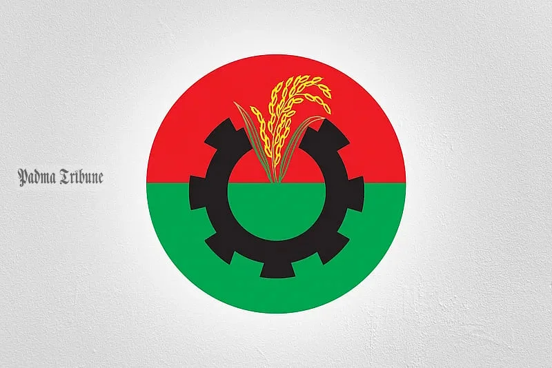 রাষ্ট্রপতি প্রার্থী মনোনয়নের সিদ্ধান্ত নেবেন দলীয় প্রধান