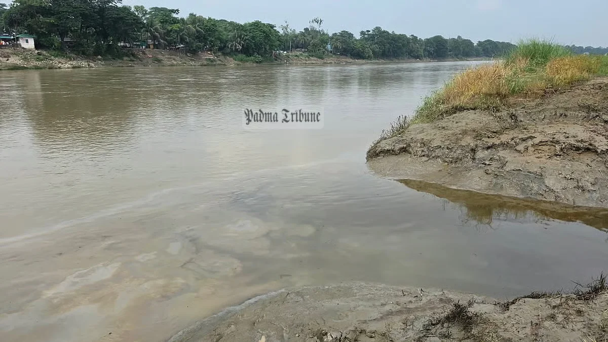 খাল গড়িয়ে সাঙ্গু নদে বিদ্যুৎকেন্দ্রের বর্জ্য তেল, হুমকির মুখে পরিবেশ
