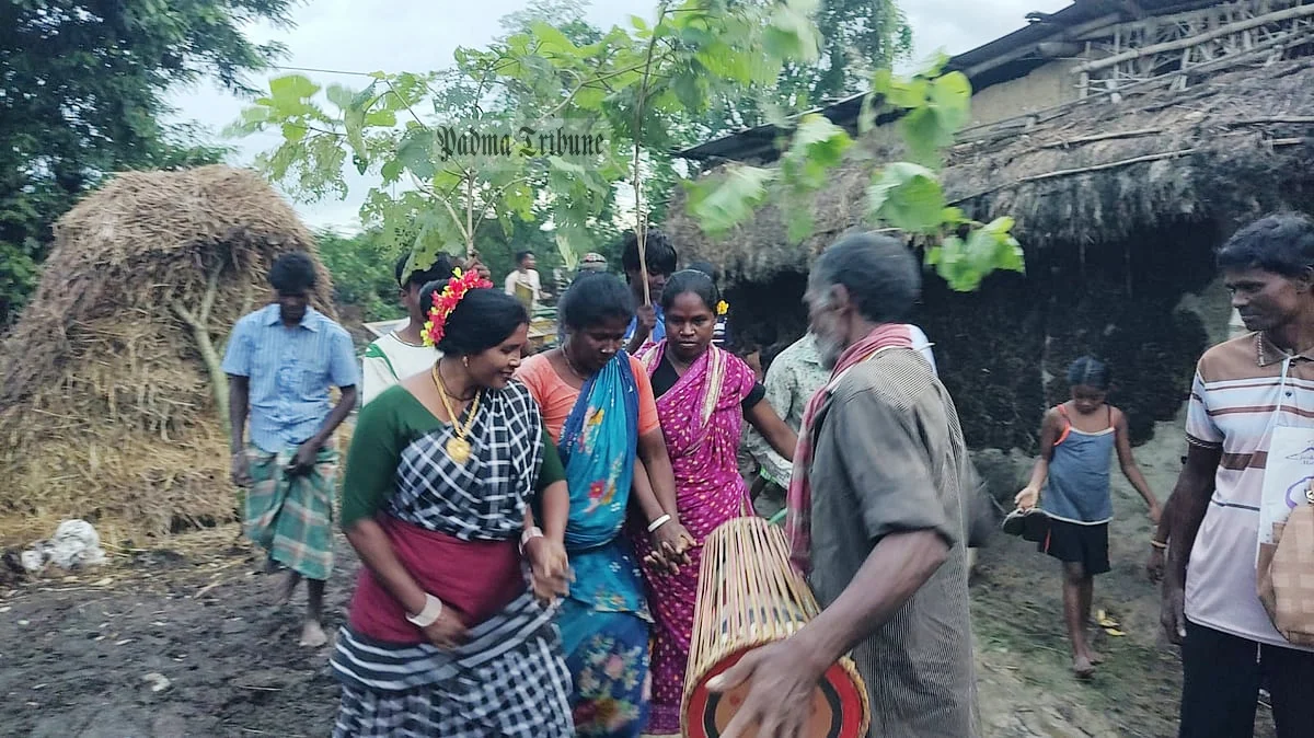 চাঁদের আলোয় ওঁরাও সম্প্রদায়ের ঐতিহ্যবাহী ‘রাইজ কারাম’