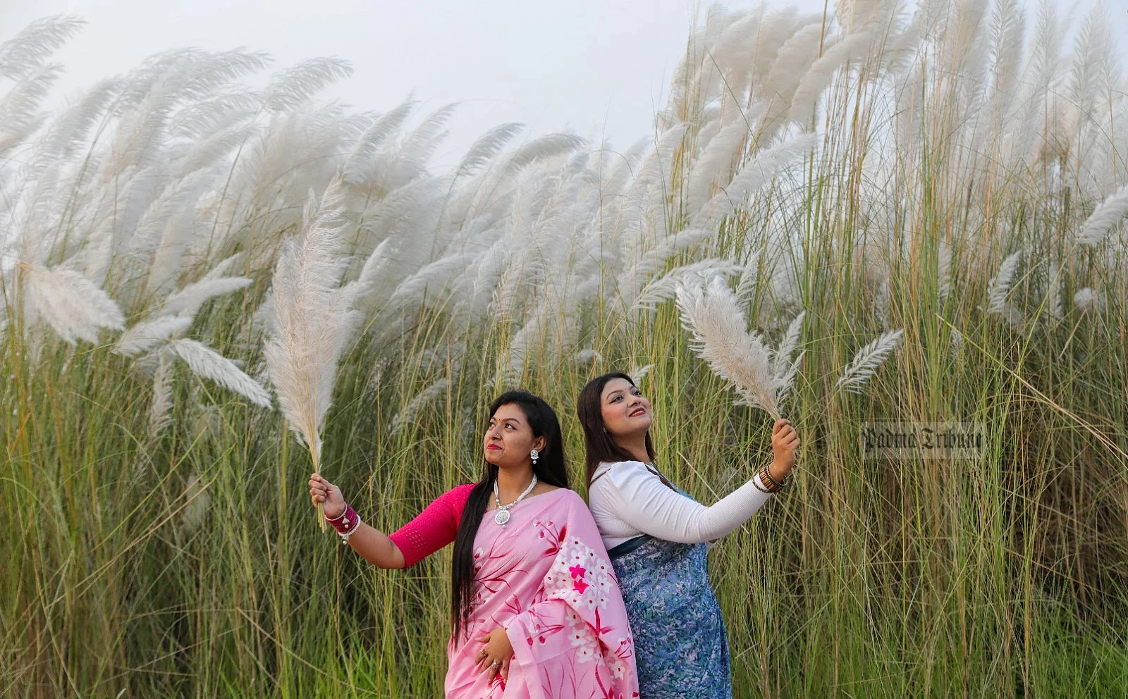 আকাশে মেঘের ওড়াউড়ি, প্রকৃতিতে হেমন্তের আমেজে কমছে তাপমাত্রা